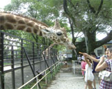 宇都宮動物園イメージ画像